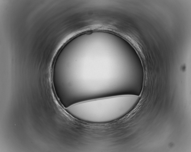 X0000101101342200806261035