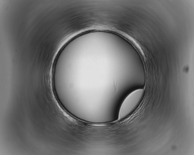 X0000101101343200806261035