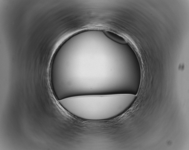 X0000101101344200806261035
