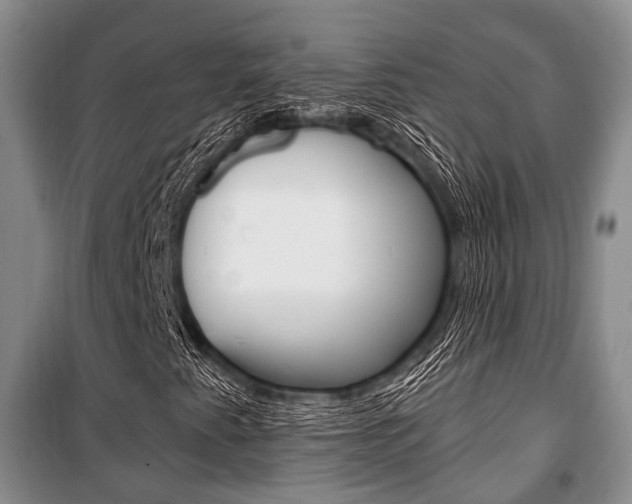 X0000101101345200806261035