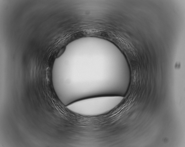 X0000101101346200806261035