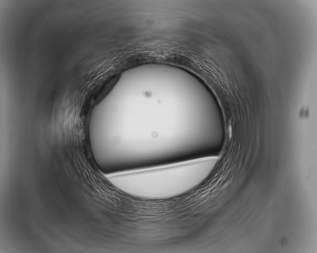 X0000101101347200806261035