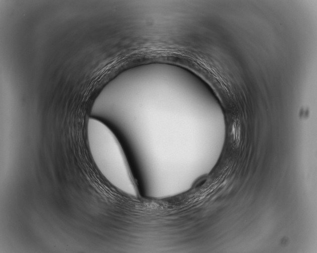 X0000101101348200806261035