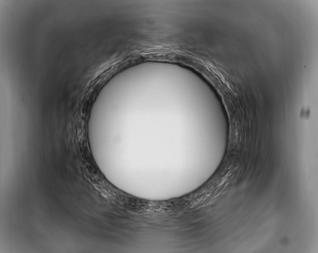 X0000101101350200806261035