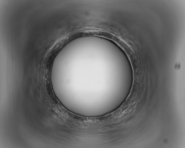 X0000101101351200806261035
