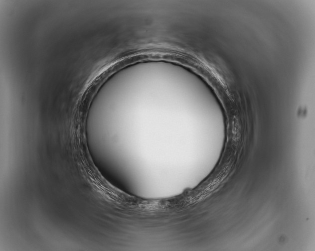 X0000101101352200806261035