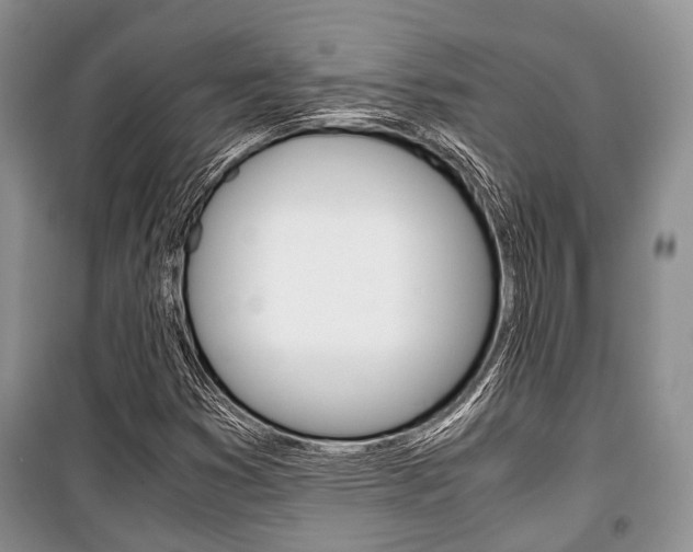 X0000101101353200806261034