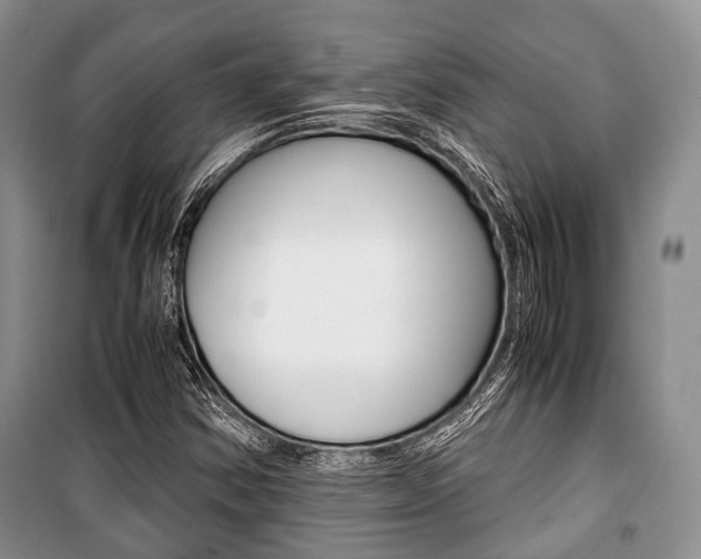 X0000101101354200806261034