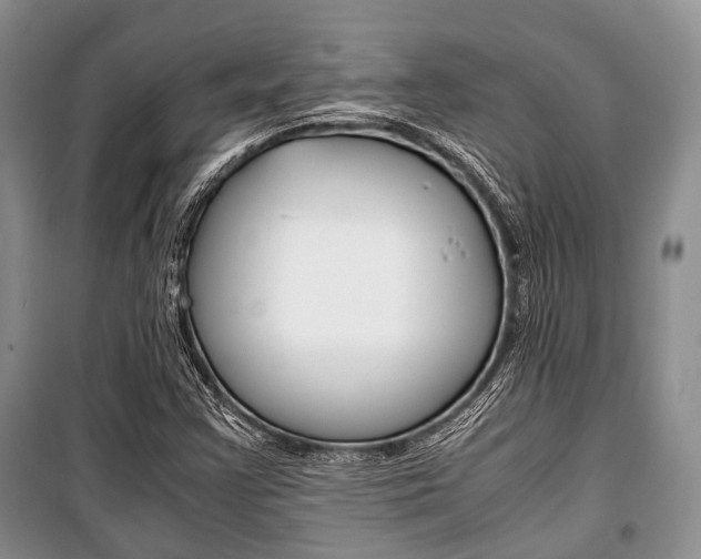 X0000101101355200806261034