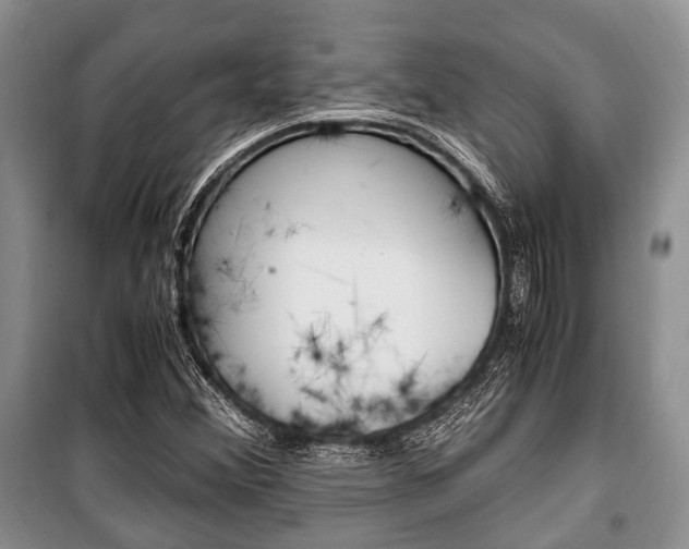 X0000101101356200806261034