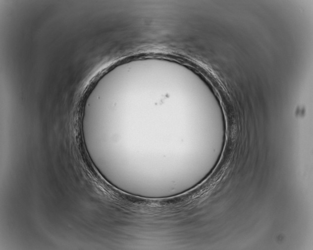 X0000101101359200806261034