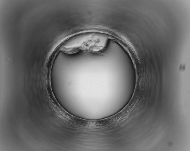 X0000101101360200806261034