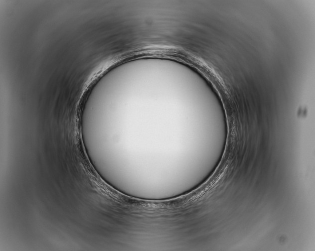 X0000101101362200806261034