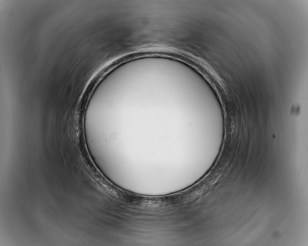 X0000101101364200806261034