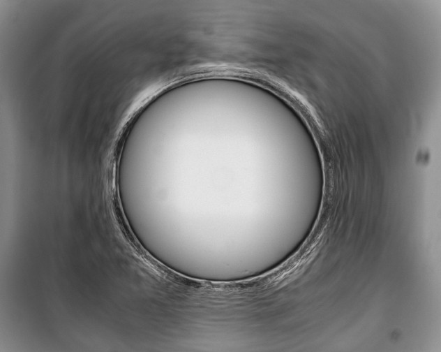 X0000101101365200806261034