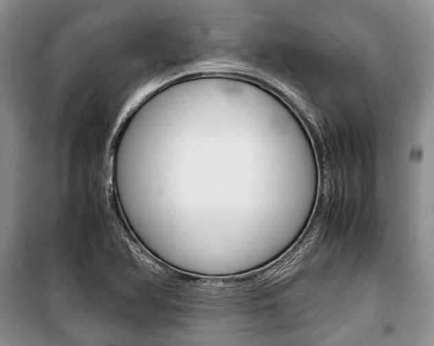 X0000101101366200806261034