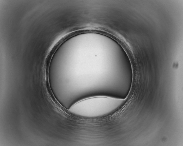 X0000101101368200806261034