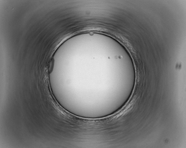 X0000101101369200806261034