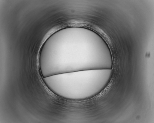X0000101101370200806261034