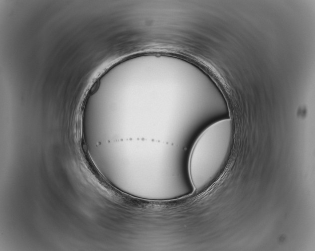 X0000101101371200806261034