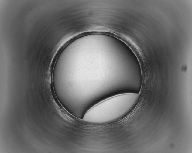 X0000101101372200806261034