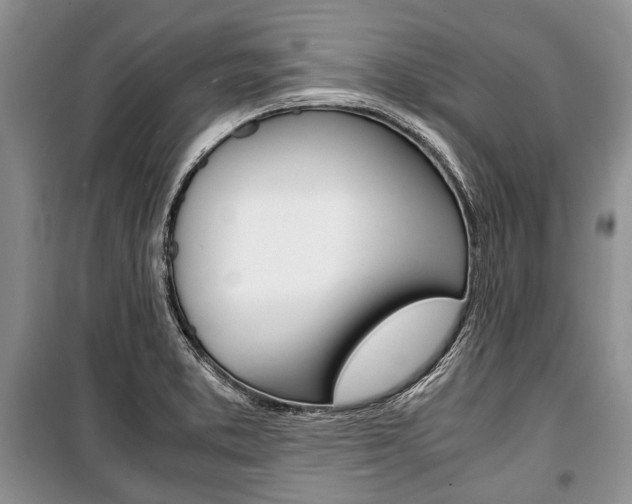 X0000101101373200806261034