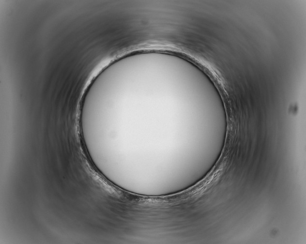 X0000101101374200806261034