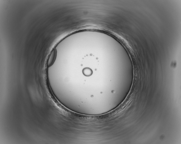 X0000101101375200806261034