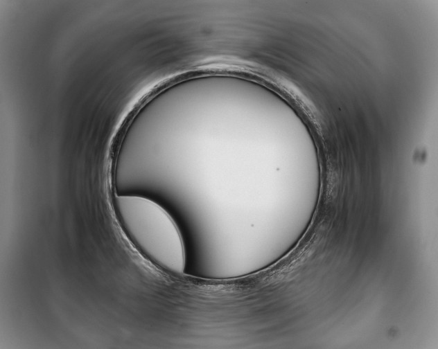 X0000101101376200806261034