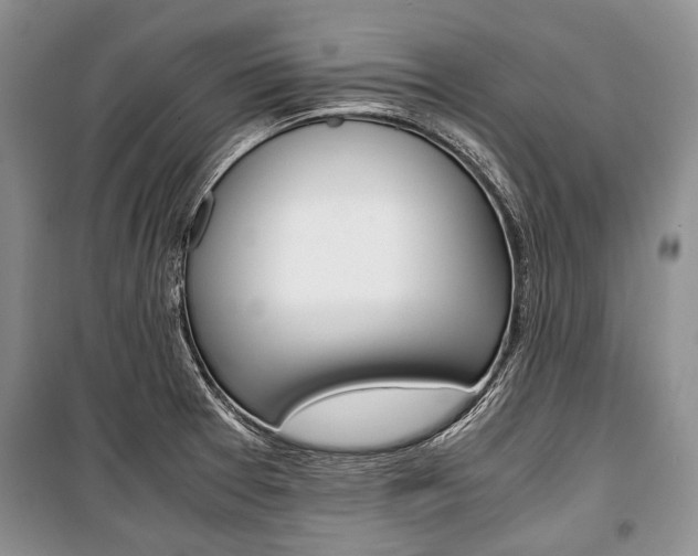 X0000101101377200806261034