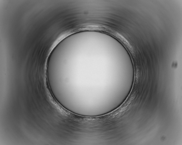X0000101101378200806261034