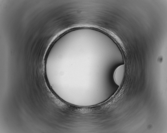 X0000101101380200806261034