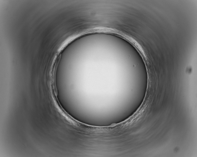 X0000101101381200806261034