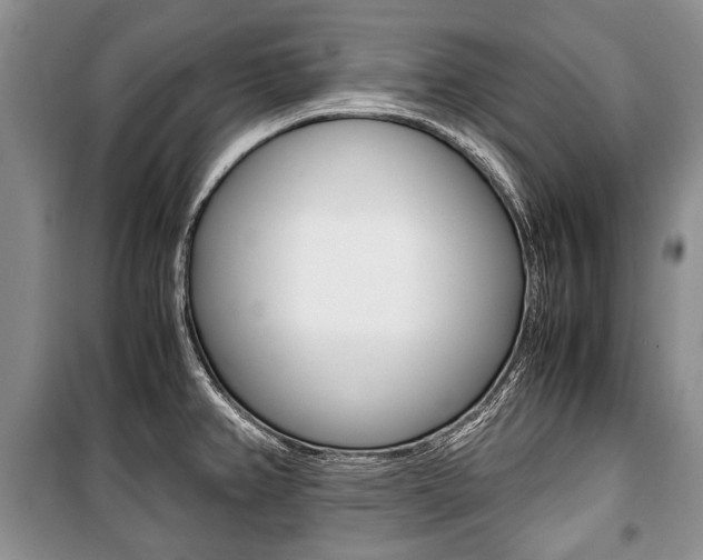 X0000101101382200806261034