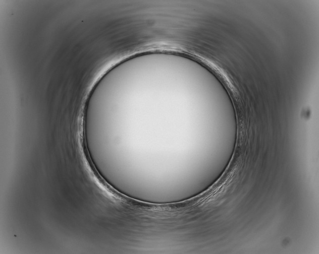 X0000101101383200806261034