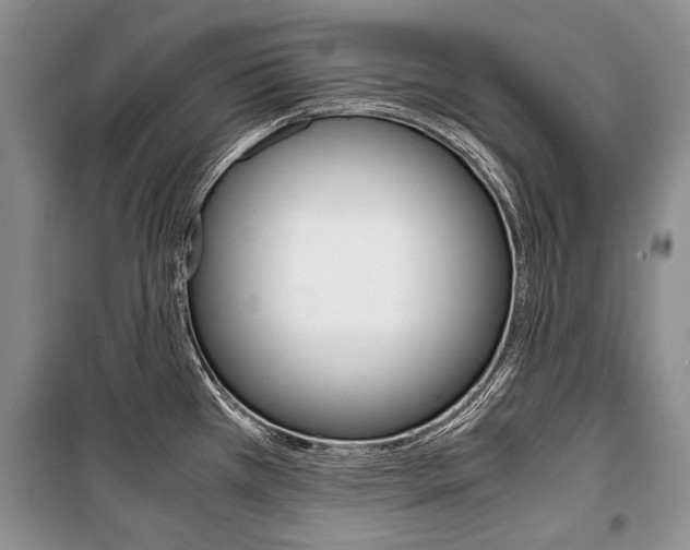 X0000101101385200806261034