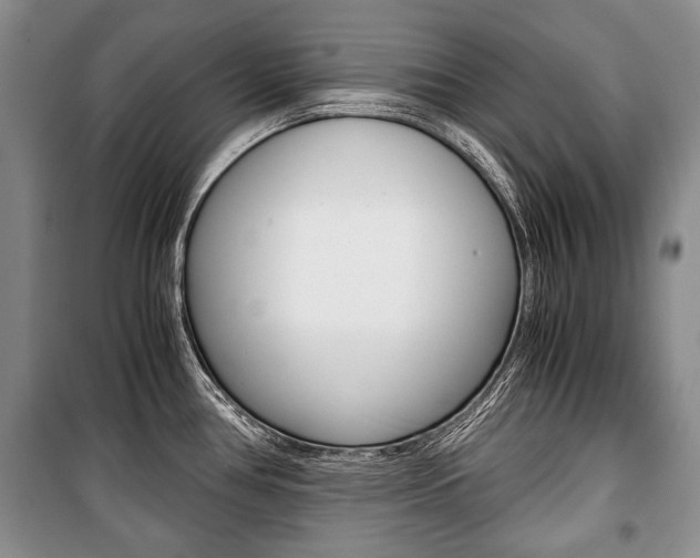X0000101101386200806261034