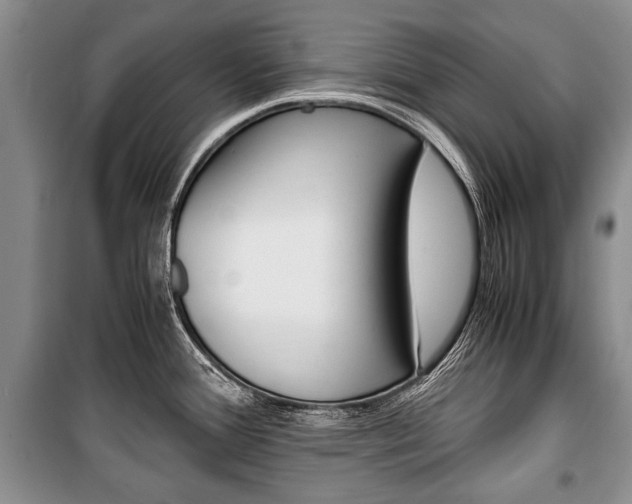 X0000101101388200806261034