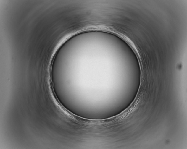 X0000101101389200806261034
