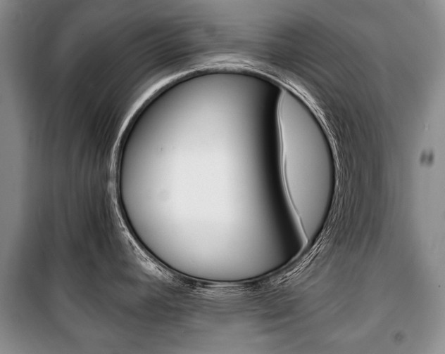 X0000101101392200806261034