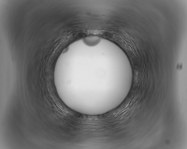 X0000101101393200806261033