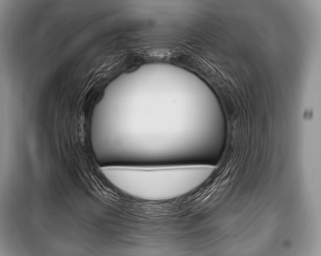 X0000101101394200806261033