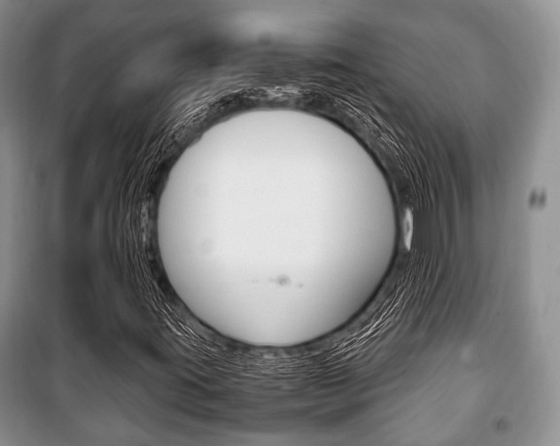 X0000101101395200806261033