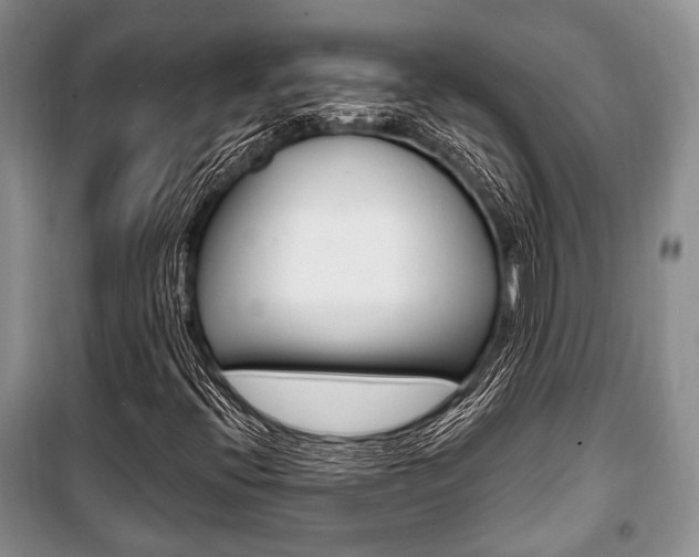 X0000101101396200806261033