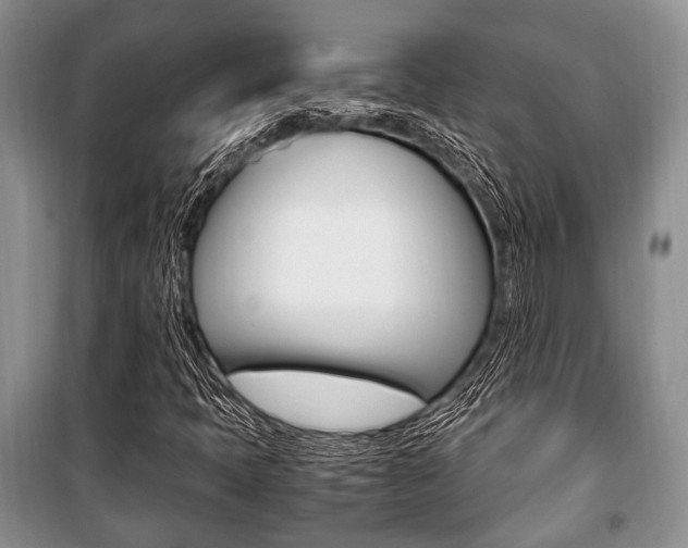 X0000101101397200806261033