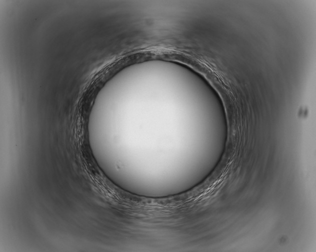 X0000101101398200806261033
