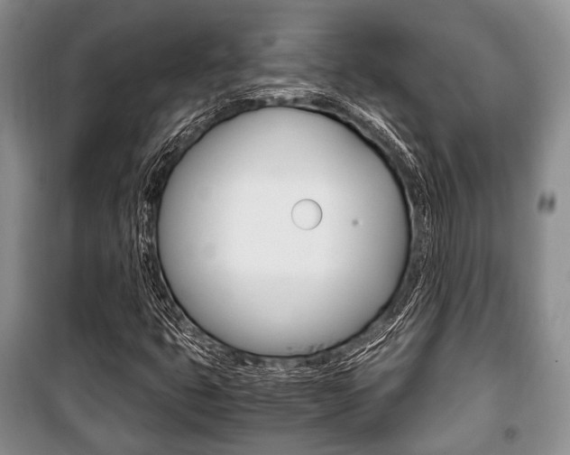 X0000101101399200806261033