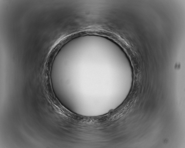 X0000101101400200806261033