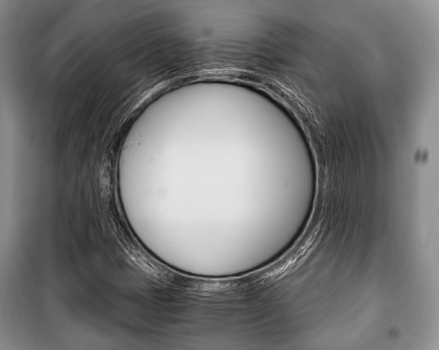 X0000101101401200806261033