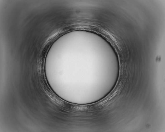 X0000101101403200806261033